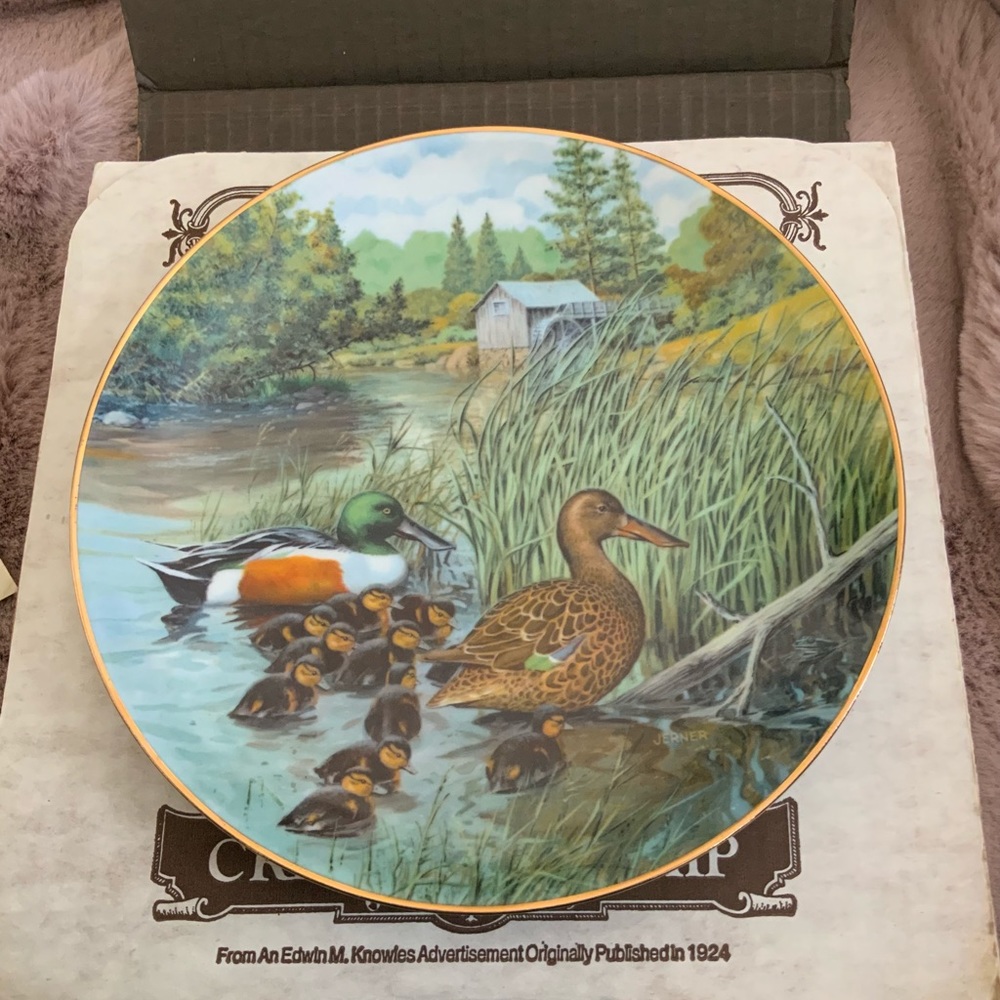 Bradex Knowles 1987 Northern Shoveler Bart Jerner Living with Nature Duck Plate